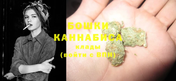 дурь Козловка