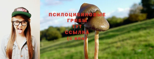 мяу мяу мука Костерёво