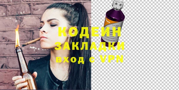 хмурый Корсаков