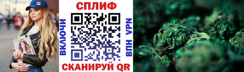 Бошки Шишки планчик  Липки 